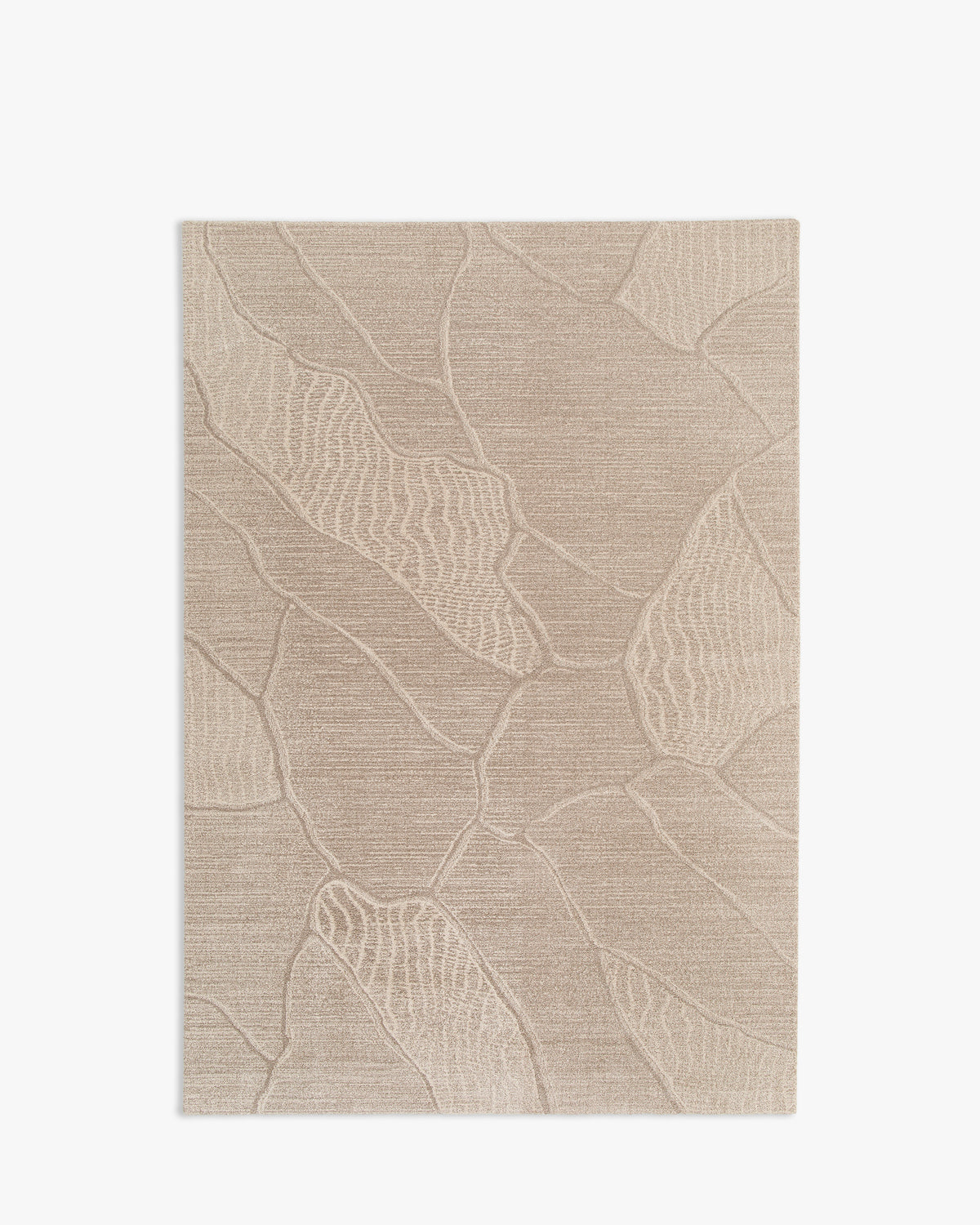 tapis de salon Folio beige à grandes feuilles sculptées ton sur ton - vu de dessus